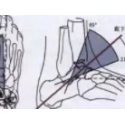 足踝解剖活動的研究